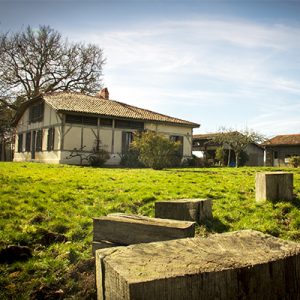 La Canopée des Landes