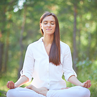 Stages et groupes - méditation