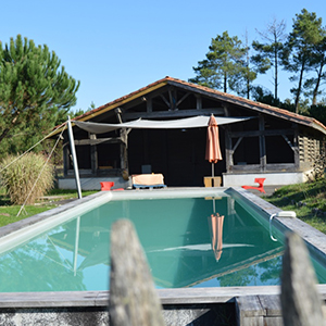 Piscine de la Canopée