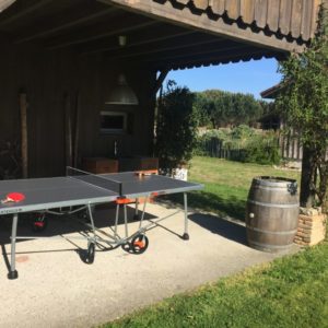 Activité ping pong pour vos vacances et loisirs