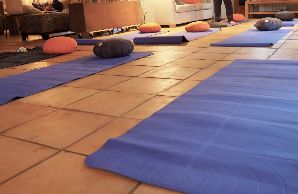 Yoga à la canopée des Landes