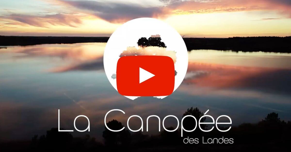 Vidéo drone Canopée