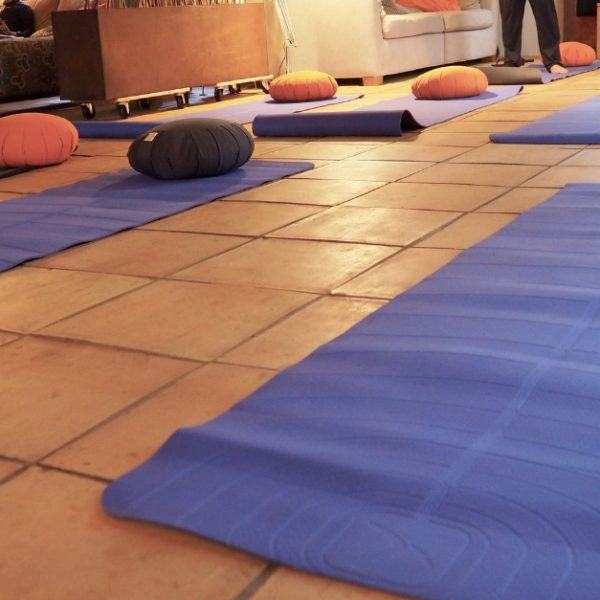 Yoga à la canopée des Landes