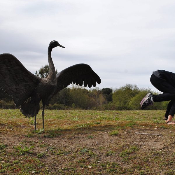 Séjour yoga / grues